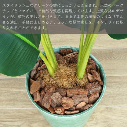 Botanical life+ フェイクグリーン 観葉植物 光触媒 日本製 消臭 抗菌 オーガスタ 80cm Dシリーズ  PT03