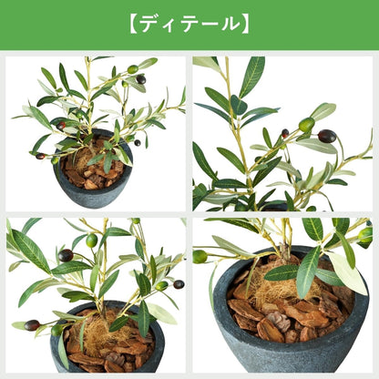 Botanical life+ フェイクグリーン 観葉植物 光触媒 日本製 消臭 抗菌 オリーブ 65cm Dシリーズ  PT05