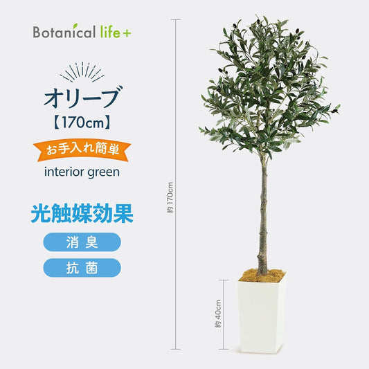 Botanical life+ フェイクグリーン 観葉植物 光触媒 大型 消臭 抗菌 オリーブ 170cm Kシリーズ  PT01