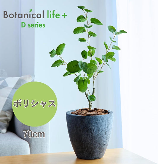 Botanical life+ フェイクグリーン 観葉植物 光触媒 日本製 消臭 抗菌 ポリシャス 70cm Dシリーズ  PT01