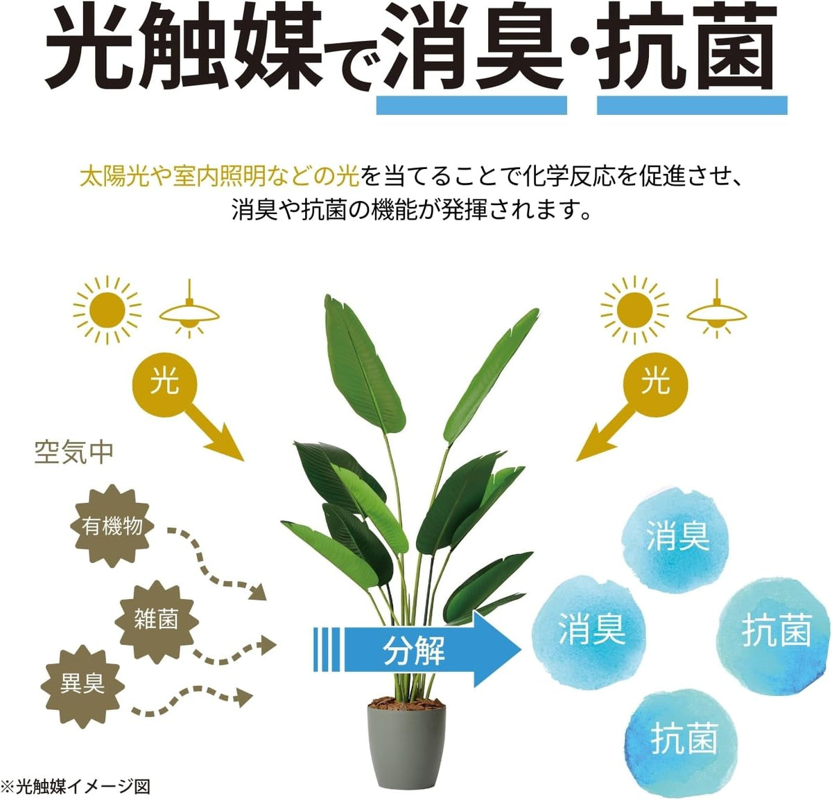 Botanical life+ フェイクグリーン 観葉植物 光触媒 大型 消臭 抗菌 ガジュマル 210cm Kシリーズ  PT07