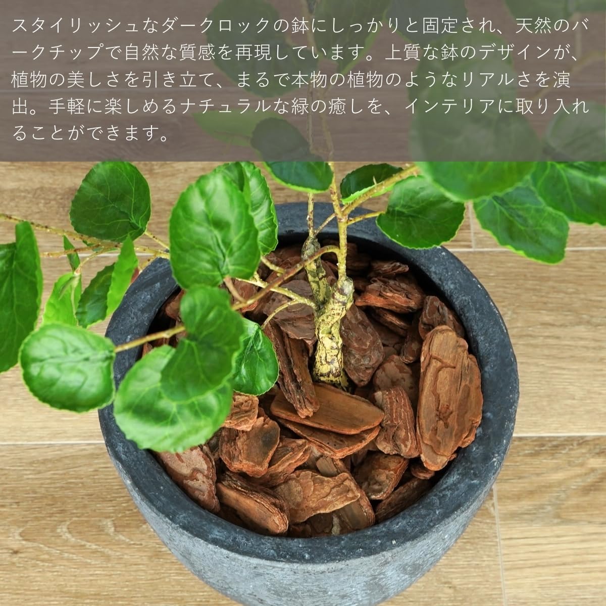 Botanical life+ フェイクグリーン 観葉植物 光触媒 日本製 消臭 抗菌 ポリシャス 70cm Dシリーズ  PT03