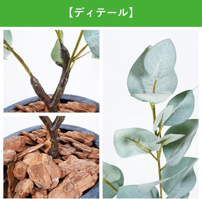 Botanical life+ フェイクグリーン 観葉植物 光触媒 日本製 消臭 抗菌 ユーカリ 70cm Dシリーズ  PT07