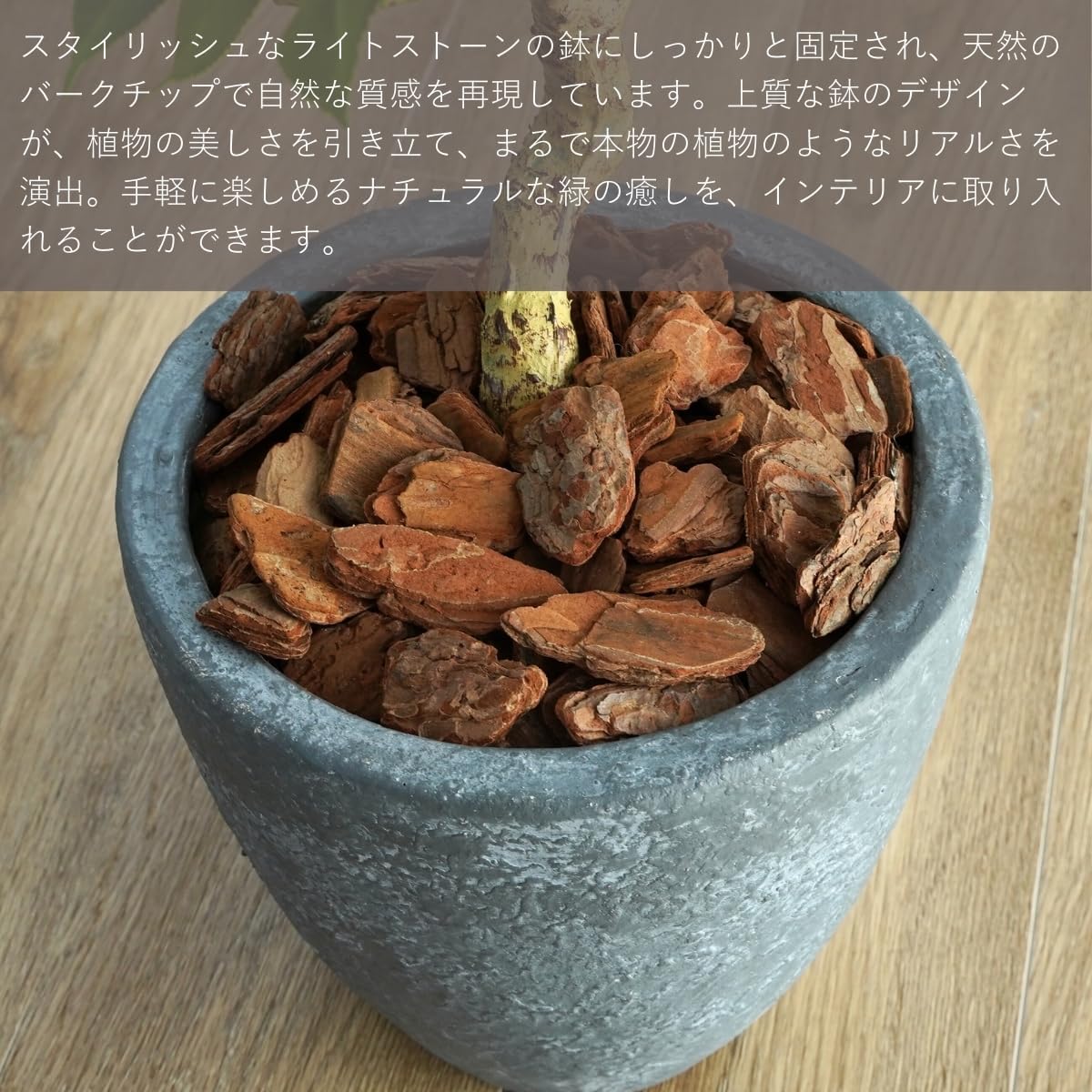 Botanical life+ フェイクグリーン 観葉植物 光触媒 日本製 消臭 抗菌 ツバキ 盆栽 60cm Dシリーズ  PT03