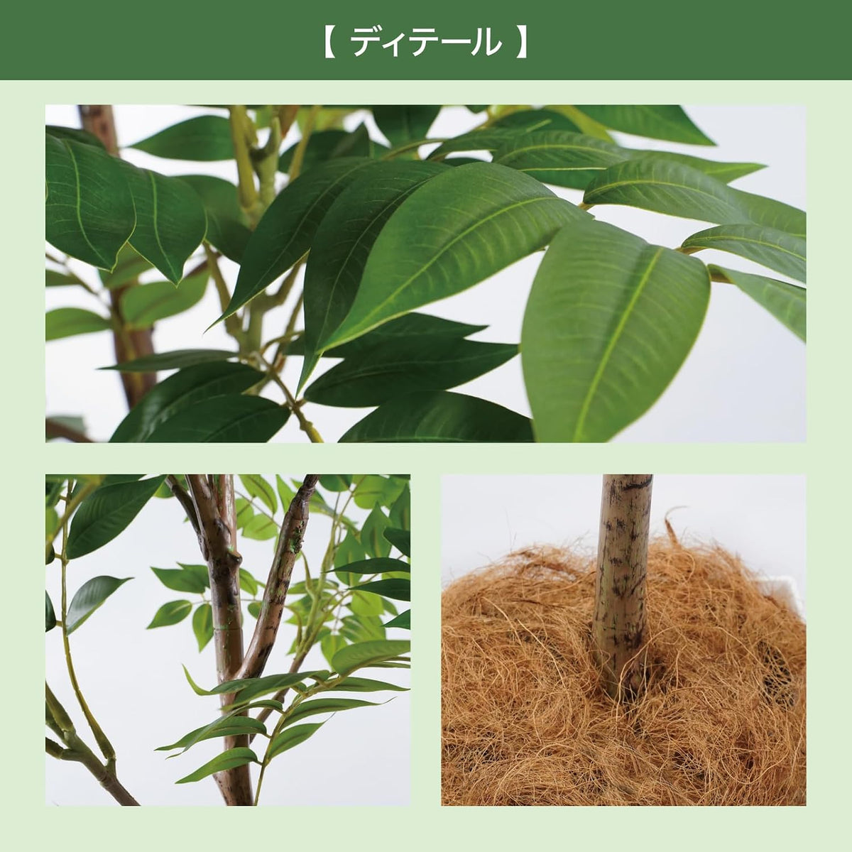 Botanical life+ フェイクグリーン 観葉植物 光触媒 大型 消臭 抗菌 シマトネリコ 200cm Kシリーズ  PT03