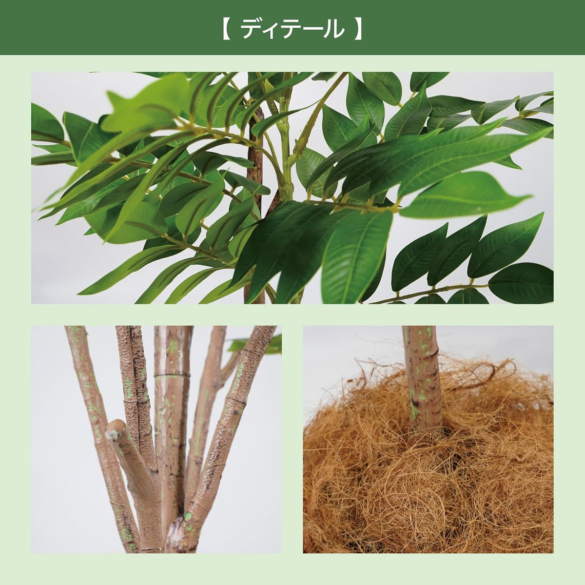 Botanical life+ フェイクグリーン 観葉植物 光触媒 大型 消臭 抗菌 シマトネリコ 220cm Kシリーズ  PT03
