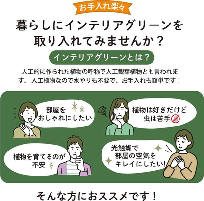 Botanical life+ フェイクグリーン 観葉植物 光触媒 大型 消臭 抗菌 シマトネリコ 220cm Kシリーズ  PT06