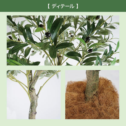 Botanical life+ フェイクグリーン 観葉植物 光触媒 大型 消臭 抗菌 オリーブ 170cm Kシリーズ  PT03