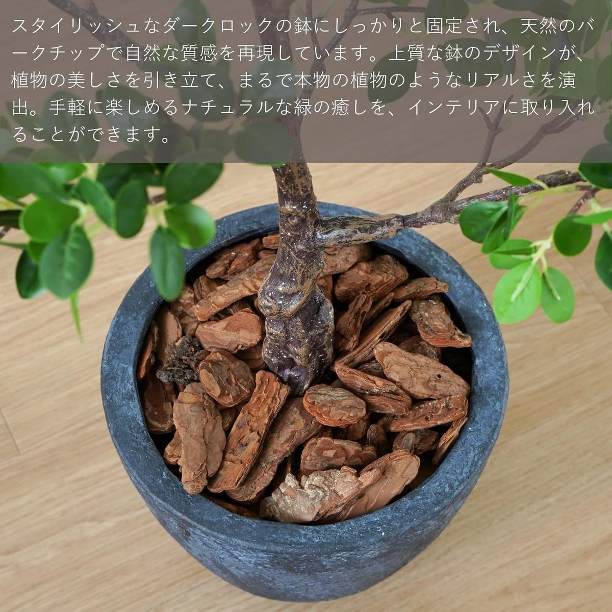 Botanical life+ フェイクグリーン 観葉植物 光触媒 日本製 消臭 抗菌 パンダガジュマル 70cm Dシリーズ  PT06